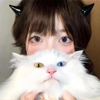 731